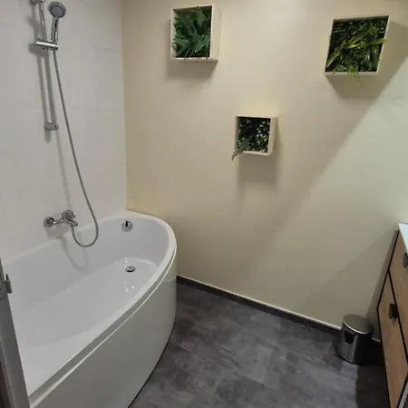 T2 Ideal Curiste 1min A Pied De La Cure Thermale Apartment *