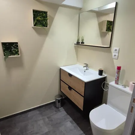 T2 Ideal Curiste 1min A Pied De La Cure Thermale Apartment Le Boulou